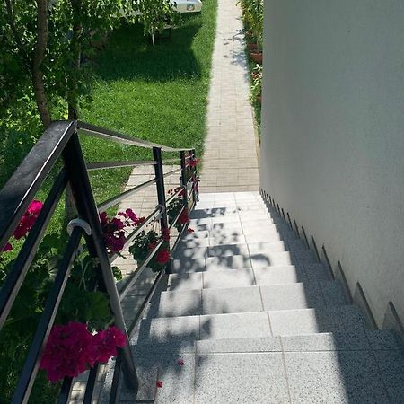 Hotel Casa Steluta De Mare Două Mai Zewnętrze zdjęcie
